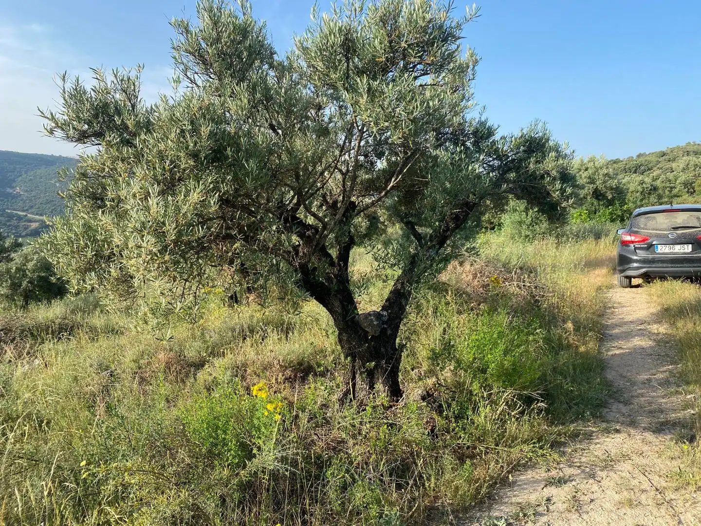 Grundstücke zur Miete in Loranca de Tajuña