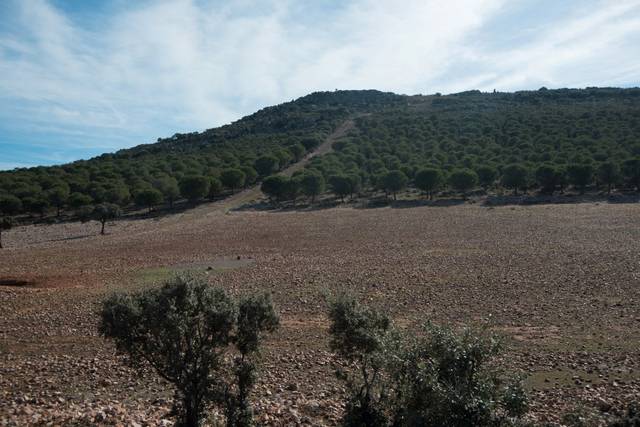 Terreno en Venta en N/A, -1 en Ossa de Montiel