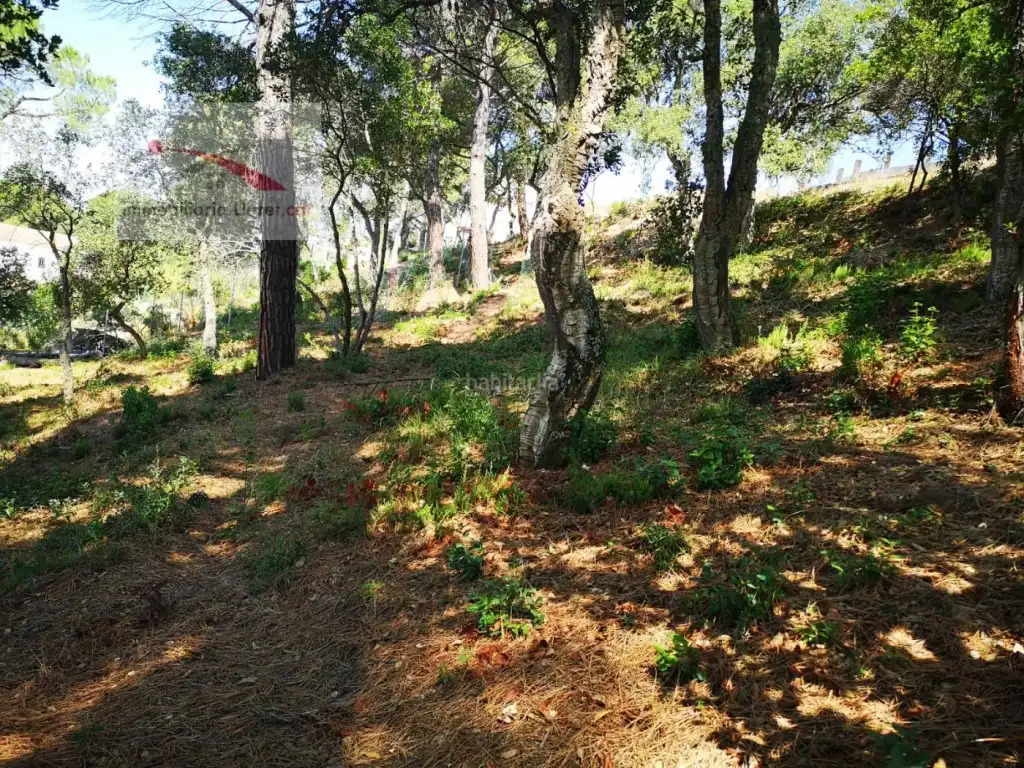 Terreno residencial en venta en Carrer Euro 9, imagen 4