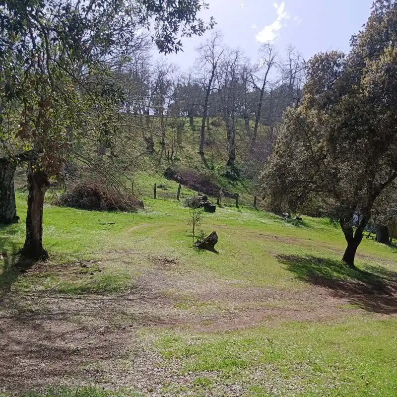 Finca rústica en venta en Cortelazor