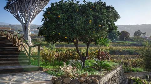 Foto 5 de Finca rústica en venda a Cuesta de la Villa, Santa Cruz de Tenerife