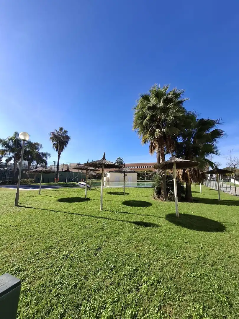 Piso en venta en Chapín - Campus Universitario - Navinco, imagen 15