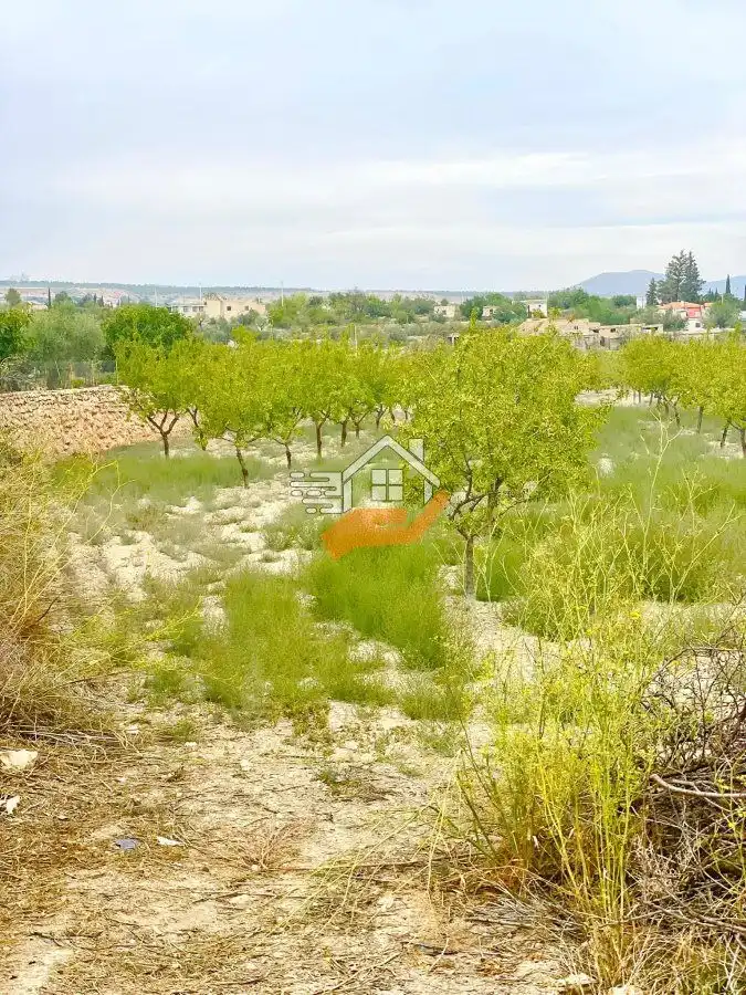 Terrenos y solares en venta en Vélez-Blanco, imagen 6