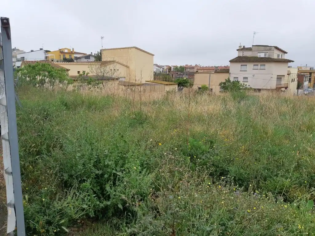 Terreny rústic en venda a C/ Santa Margarida, imagen 7