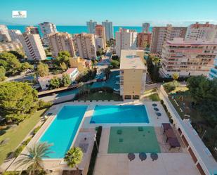 Swimming pool of Flat for sale in Alicante / Alacant  with Community pool
