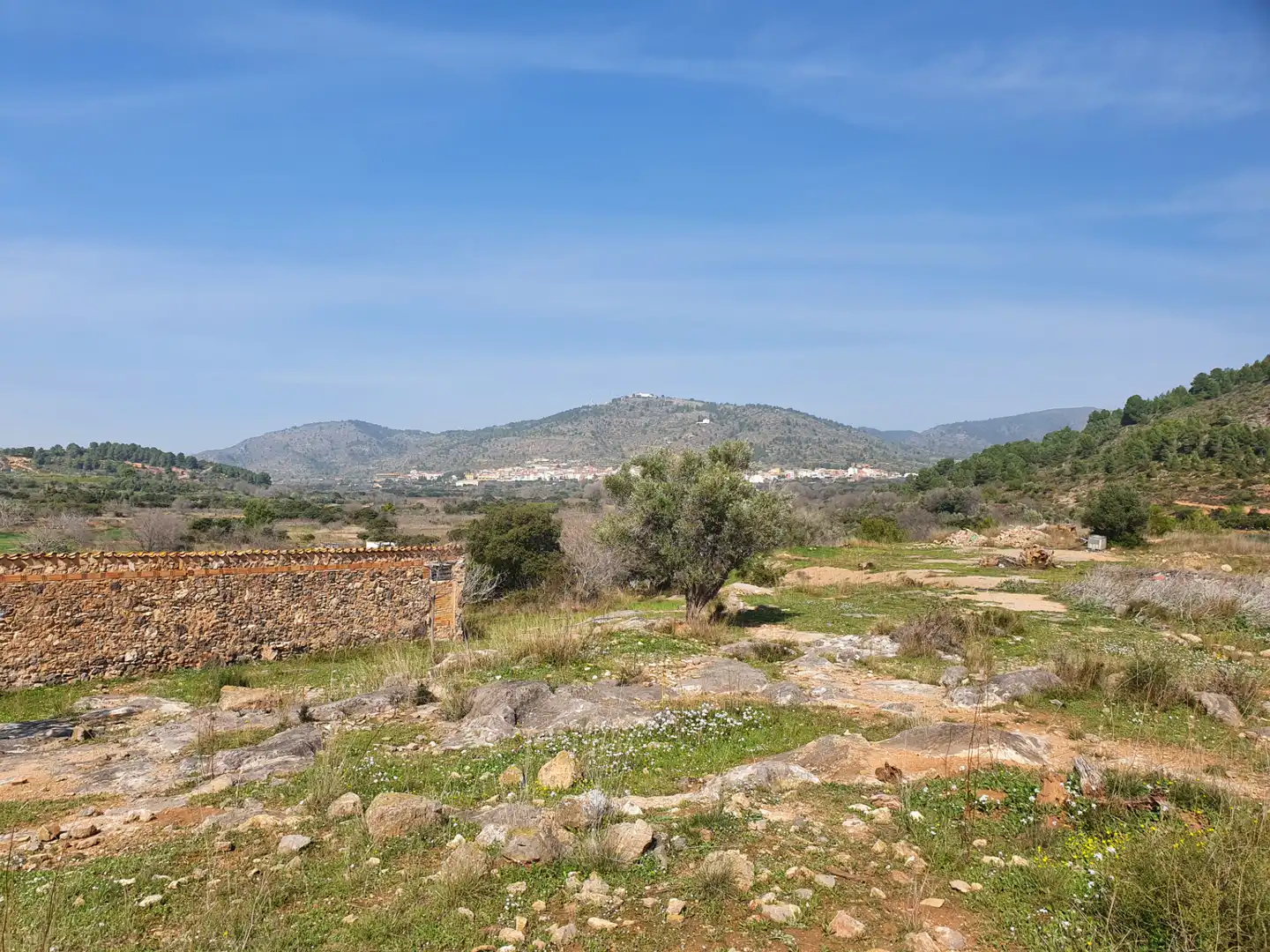 Terreno rustico in vendita a Segorbe, imagen 30