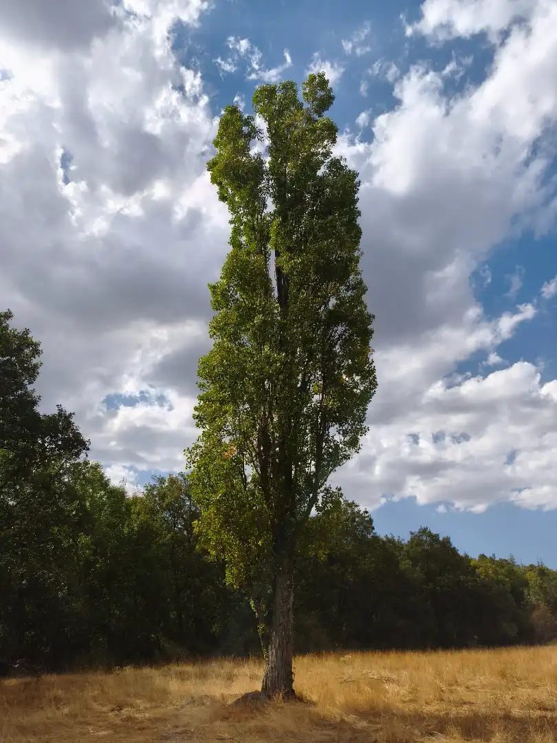 Vista exterior de Terreno en venta en Piñuécar-Gandullas