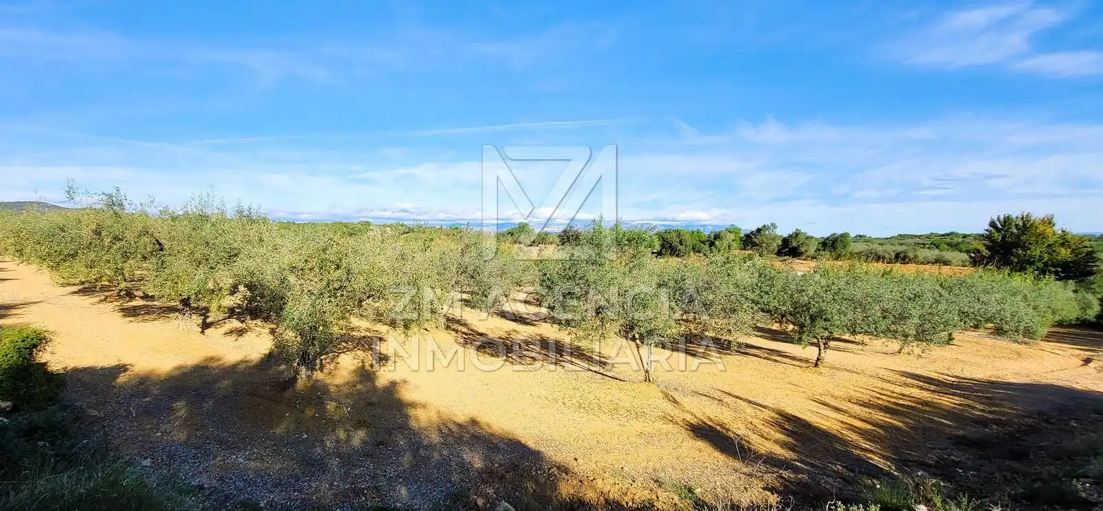 Casa rústica en venta en Traiguera, imagen 12