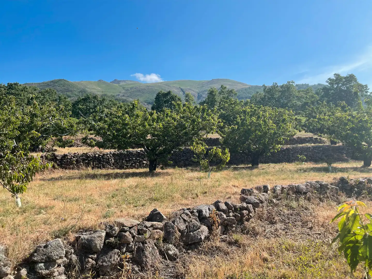 Terreni e lotti in vendita a Garganta la Olla, imagen 2