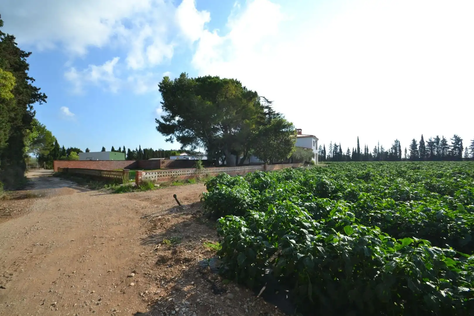 Country house with pool for sale in Partidas de interior - Zona Rústica, imagen 62