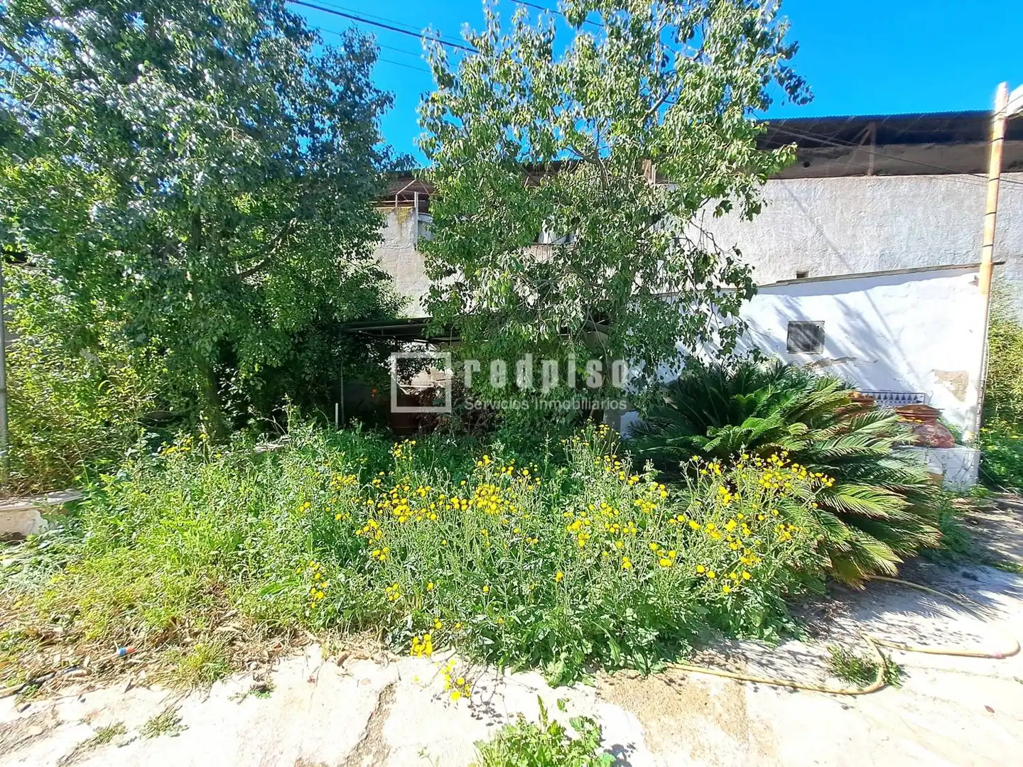 Casa o chalet en venta en Murcia con Terraza
