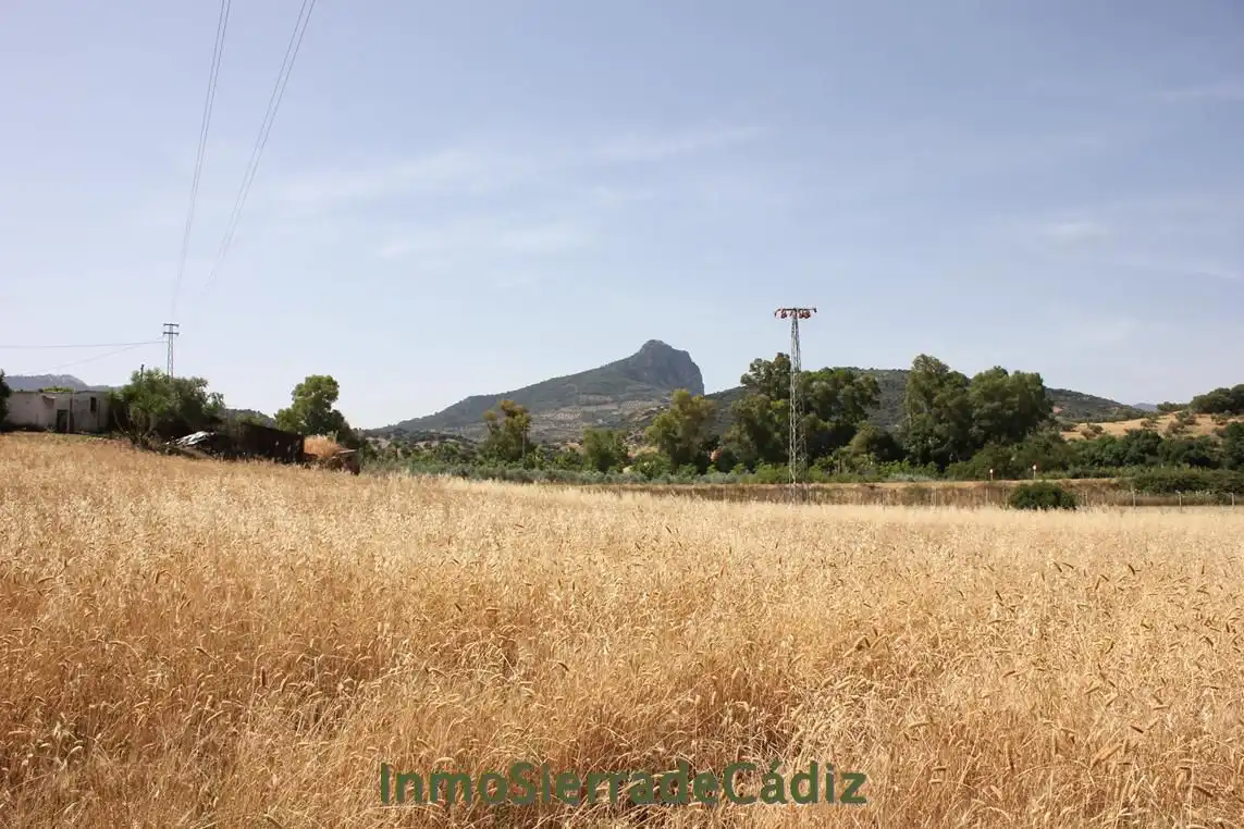 Casa rústica en venda a Algodonales, imagen 9