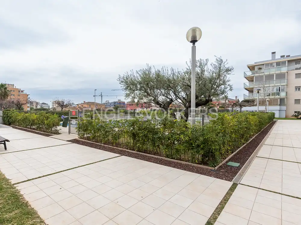 Flat for rent in Torreón - La Almadraba