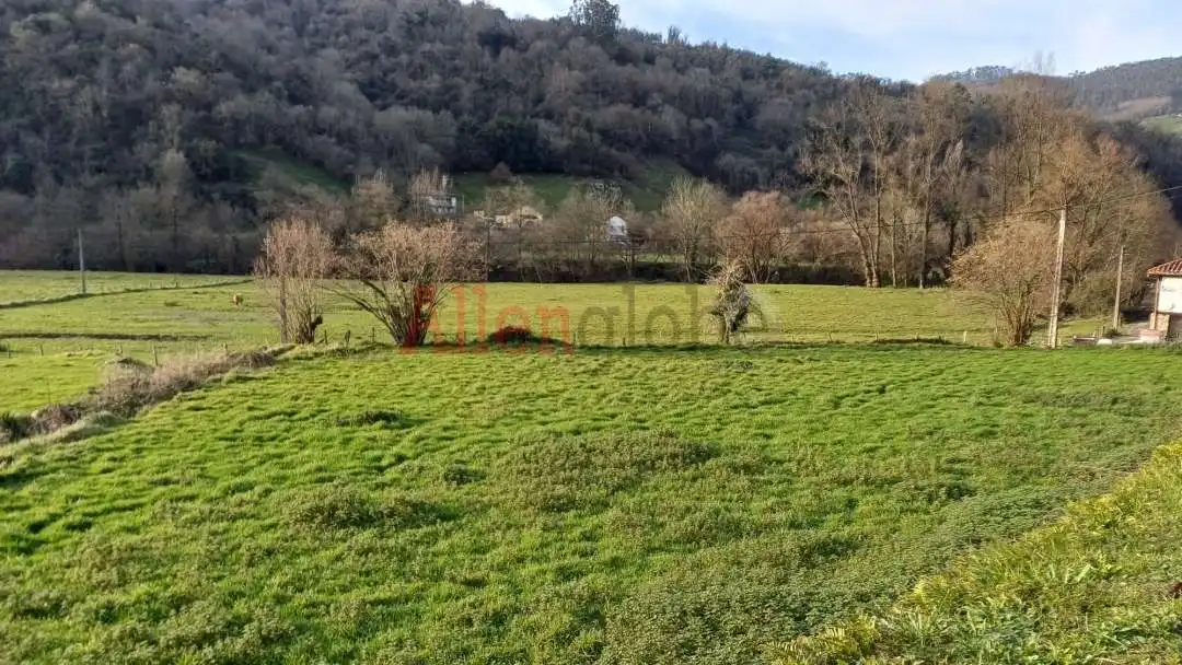 Terreny residencial en venda a San Claudio - Trubia - Las Caldas, imagen 5