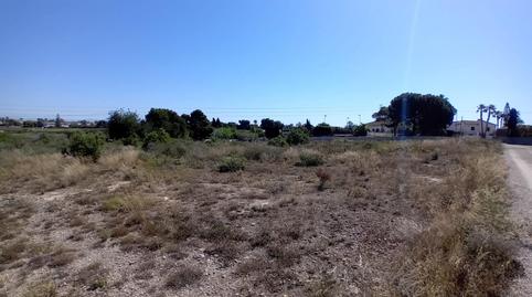 Foto 3 von Grundstücke zum Verkauf in Partida Valverde Bajo, Valverde, Elche / Elx