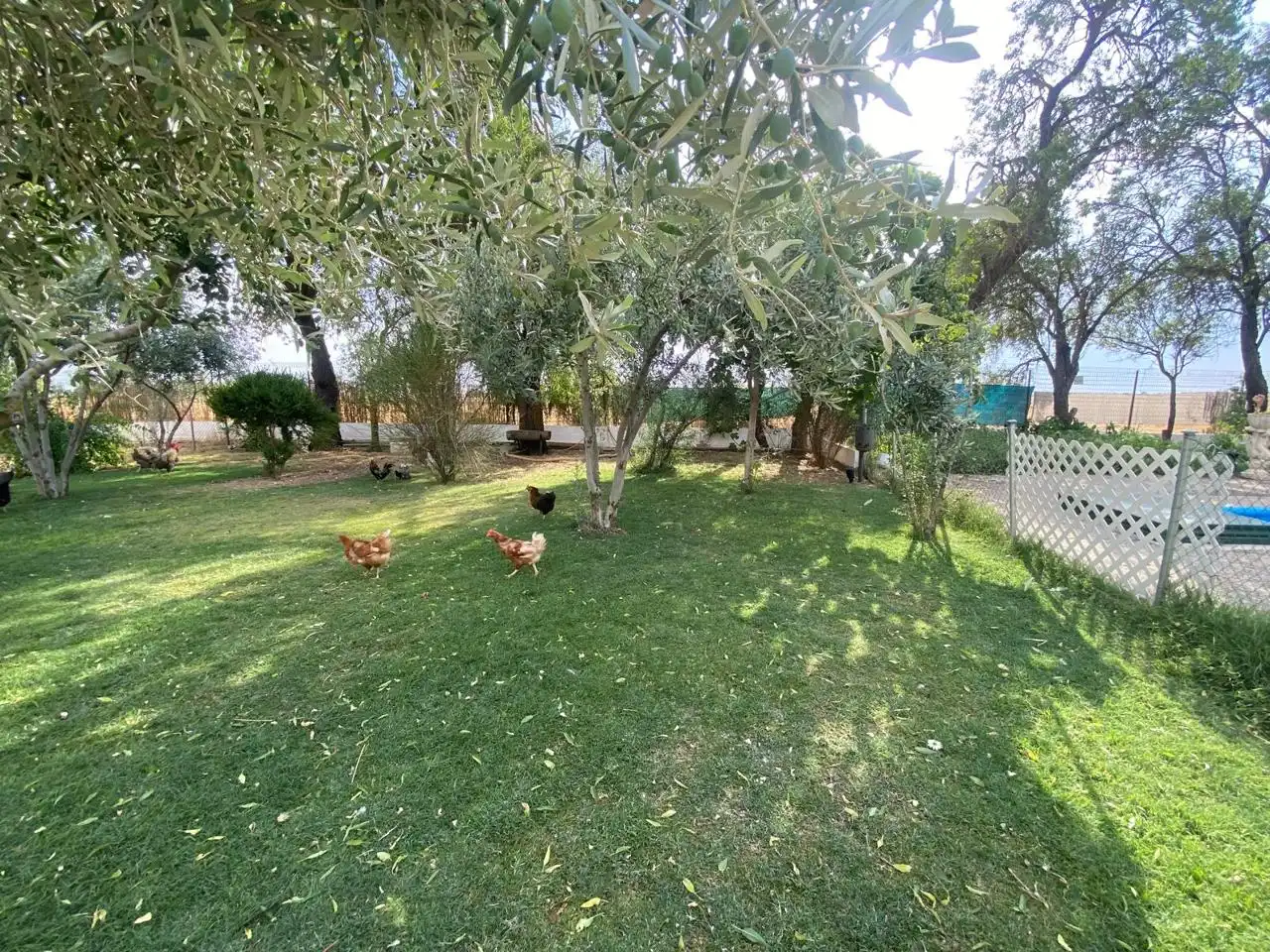 Casa rústica amb piscina en venda a DS DISEMINADOS Polígono 14 Parcela 10 LA CARRETERA, imagen 29