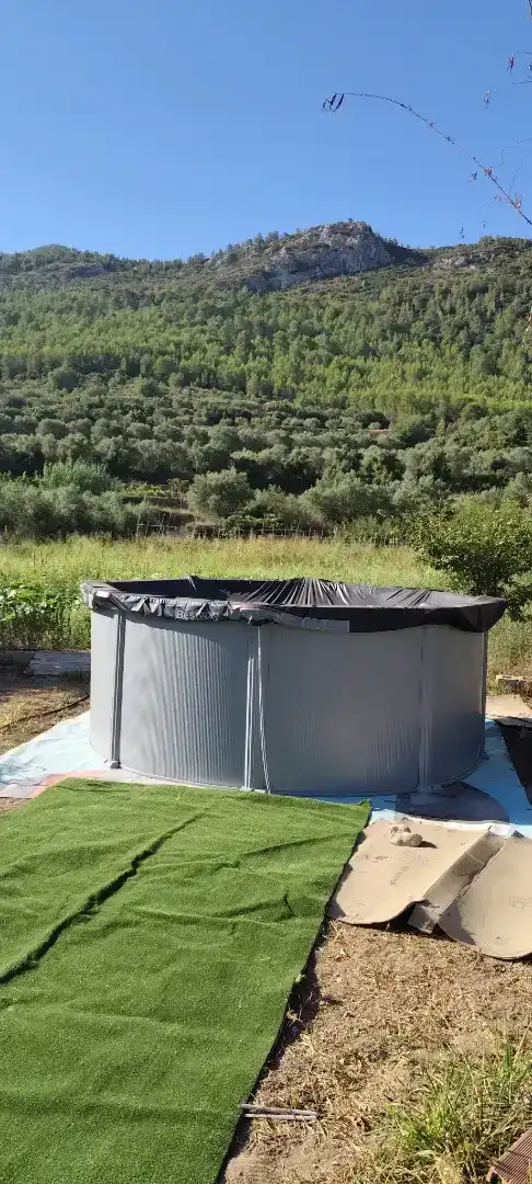 Piscina de Finca rústica en venda en Mogente / Moixent amb Piscina