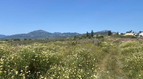 Ref A153 Terreno rustico de regadío en Zalea, immagine 5