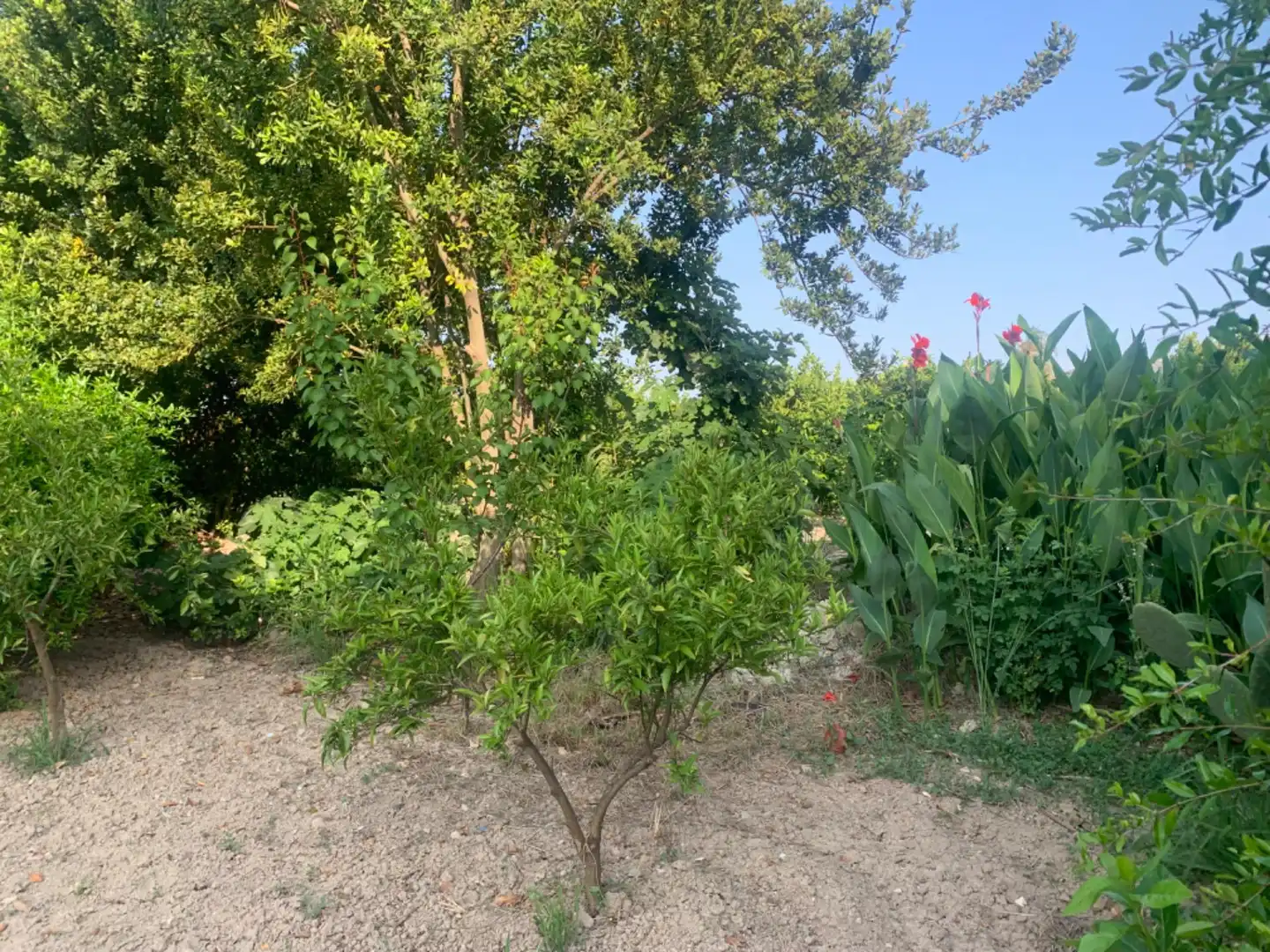 Finca rústica en venda a Alquerías
