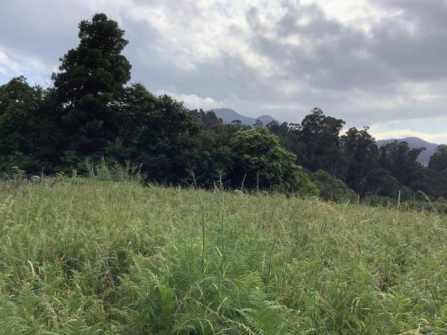 Terreno residencial en Venta en  GALEOTA-BEADE en Valadares - Beade