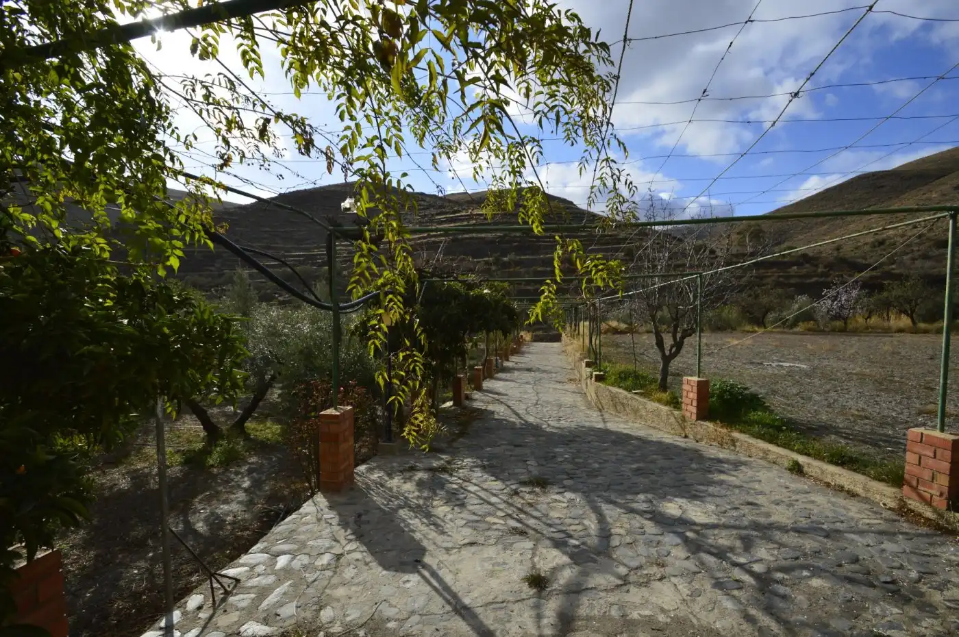 Finca rústica en venta en Gérgal