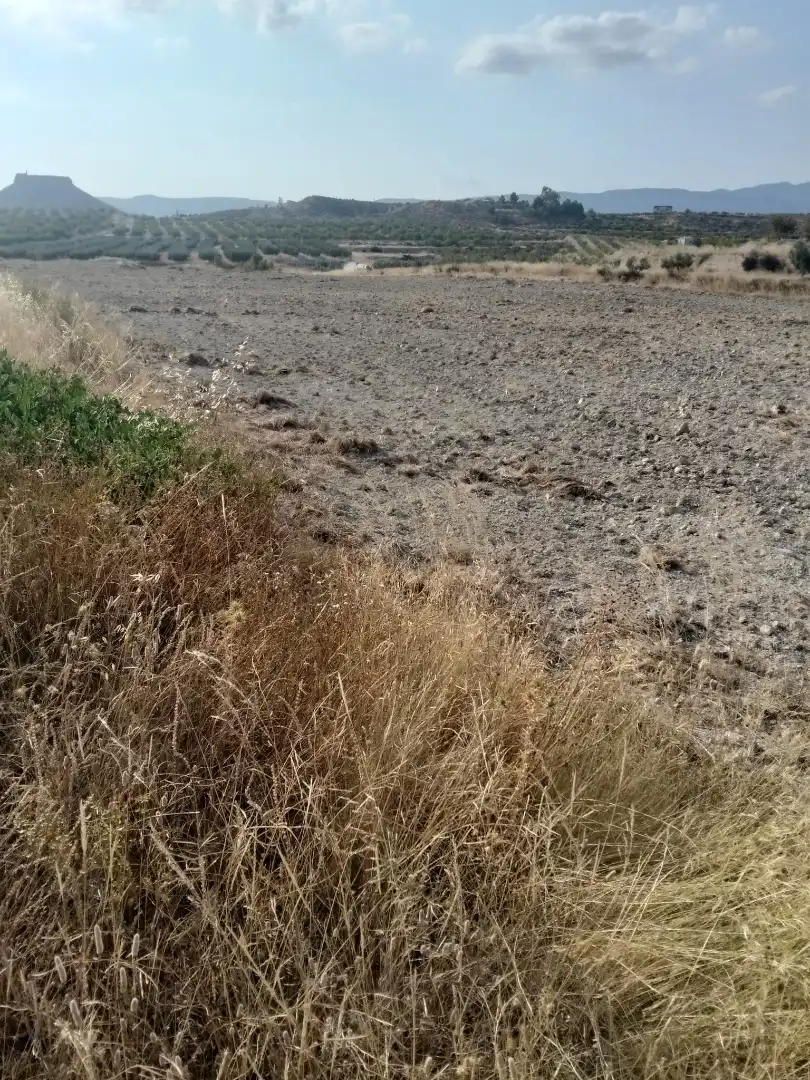 Lands and plots for sale in N/A, imagen 2