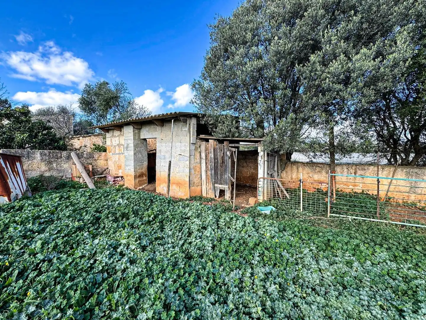 Vista exterior de Terreno industrial en venta en Binissalem