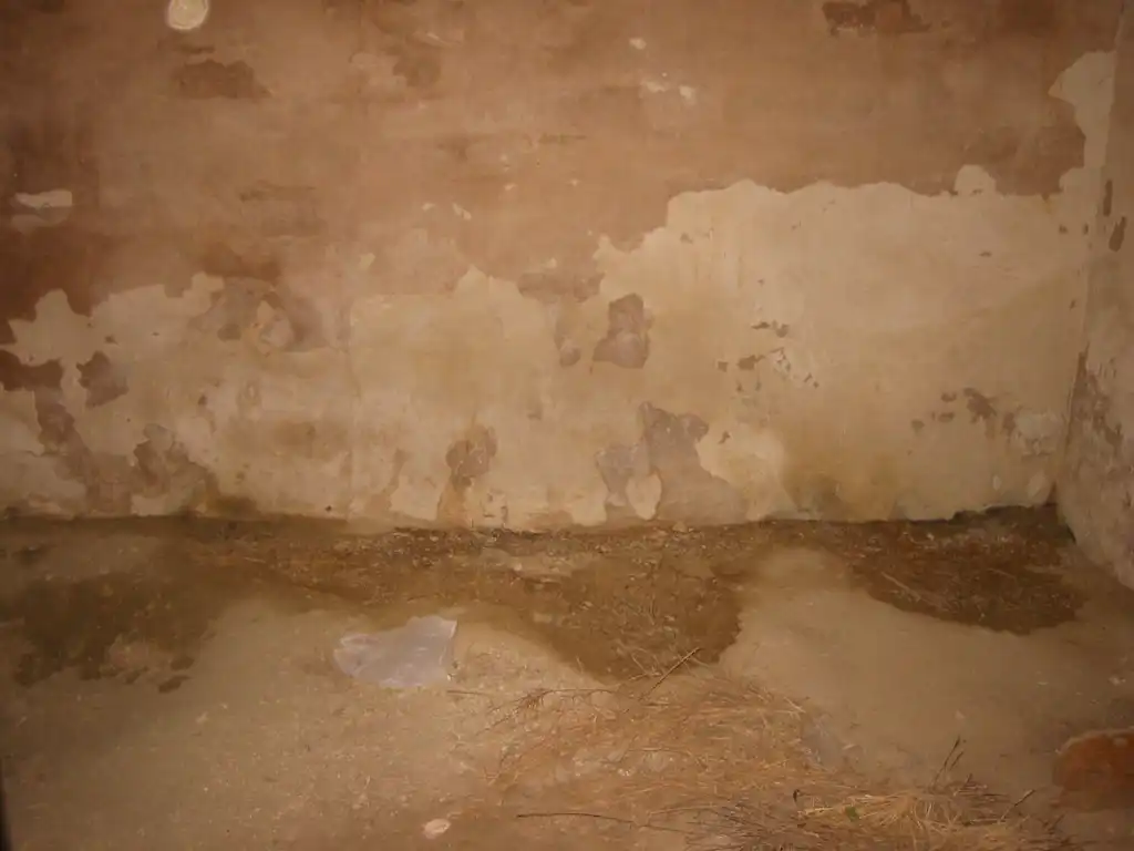 Maison rustique à vendre à Pedanías Oeste, imagen 2