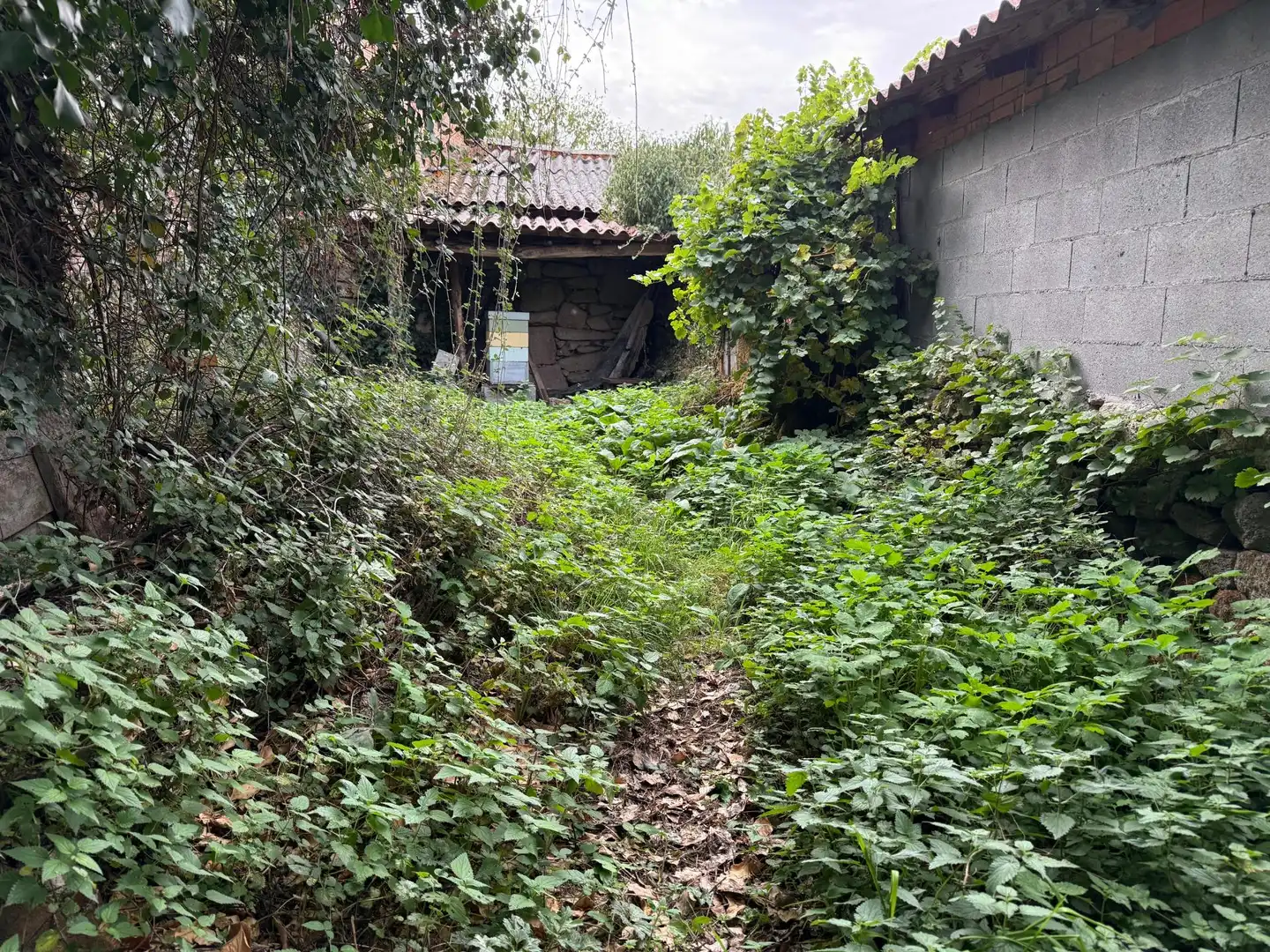 Haus oder Chalet zum Verkauf in Sandiás, Ourense