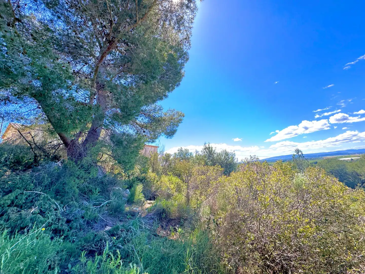 Residential land for sale in Calle FOIA DE BUNYOL, imagen 8