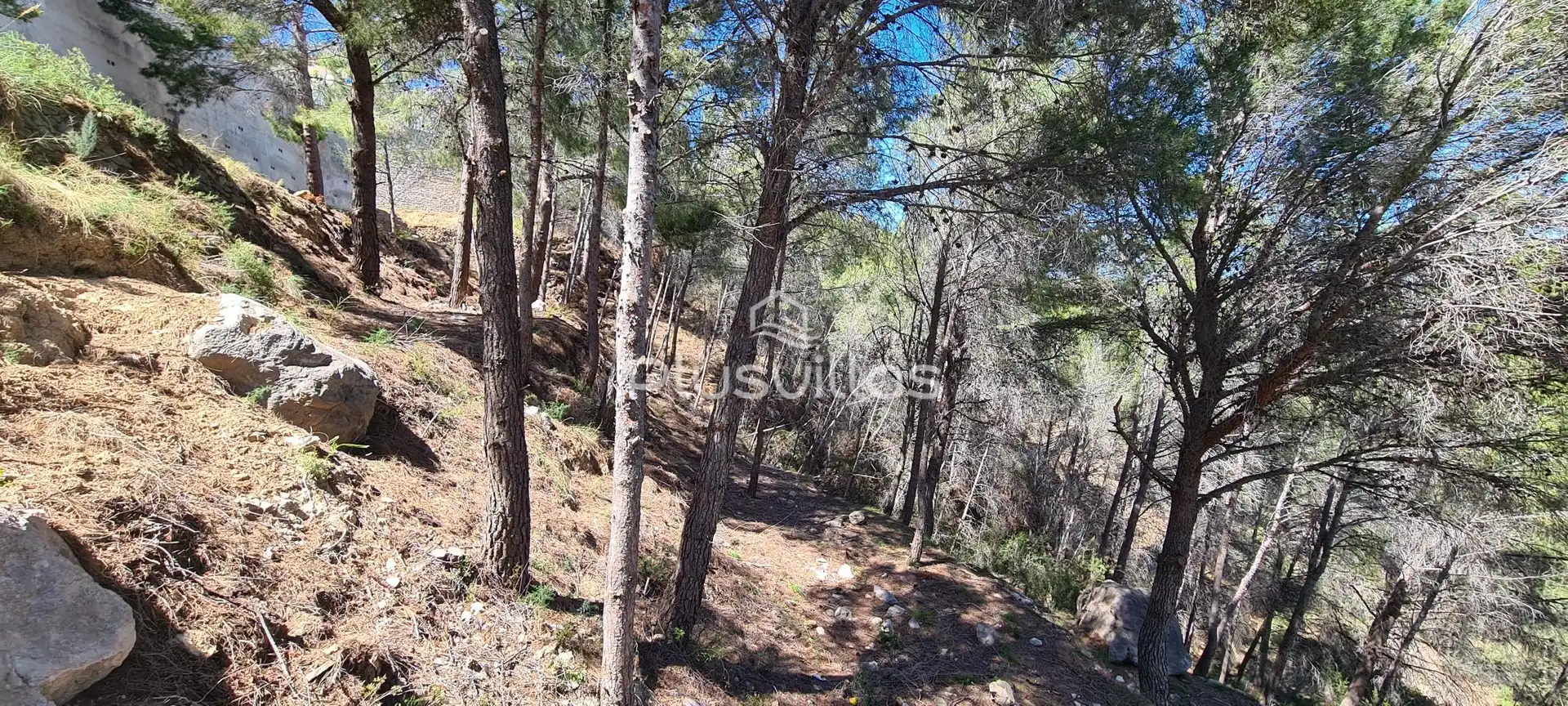 Terrenys i solars en venda a Oltamar - Cucarres, imagen 12
