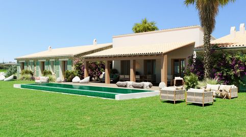 MAGNÍFICA FINCA CON PROYECTO APROBADO EN PETRA, immagine 3
