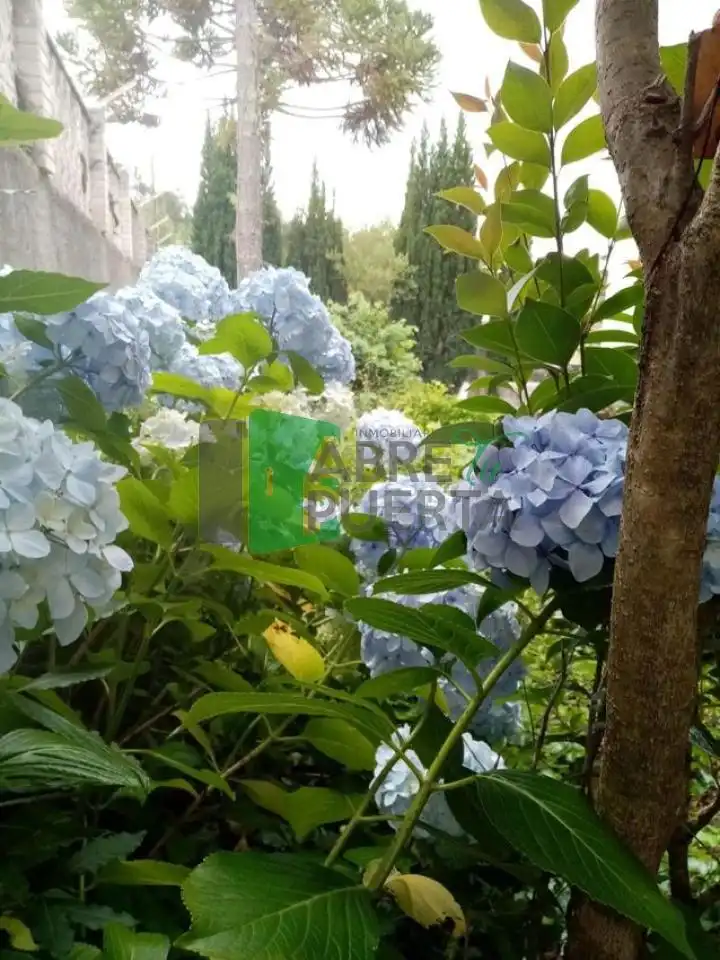Chalet con jardín en venta en O Carballiño, imagen 10