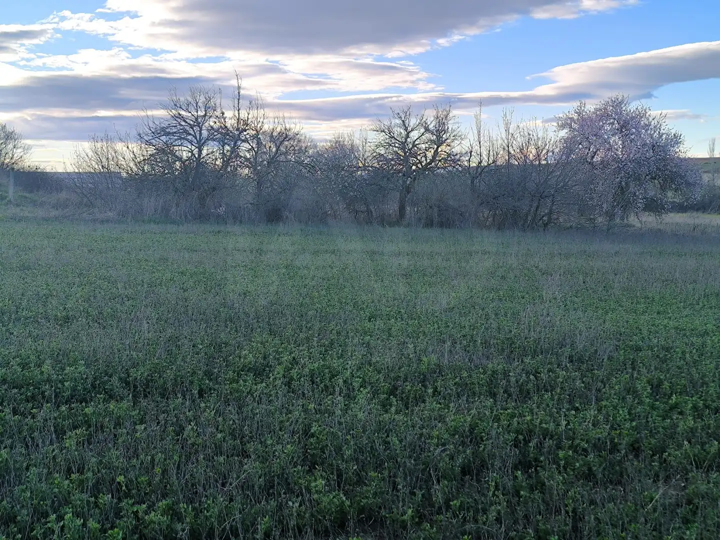 Terreno en venta en Pajares de los Oteros