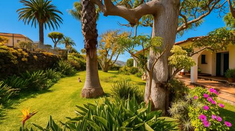 Foto 4 de Casa o chalet en venta en Cuesta de la Villa, Santa Cruz de Tenerife