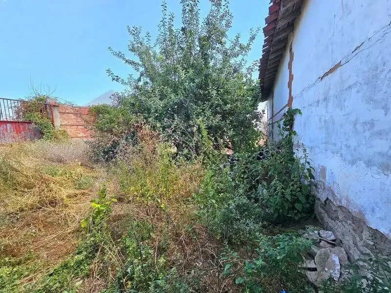 Casa o chalet en venta en Cañas con Jardín privado