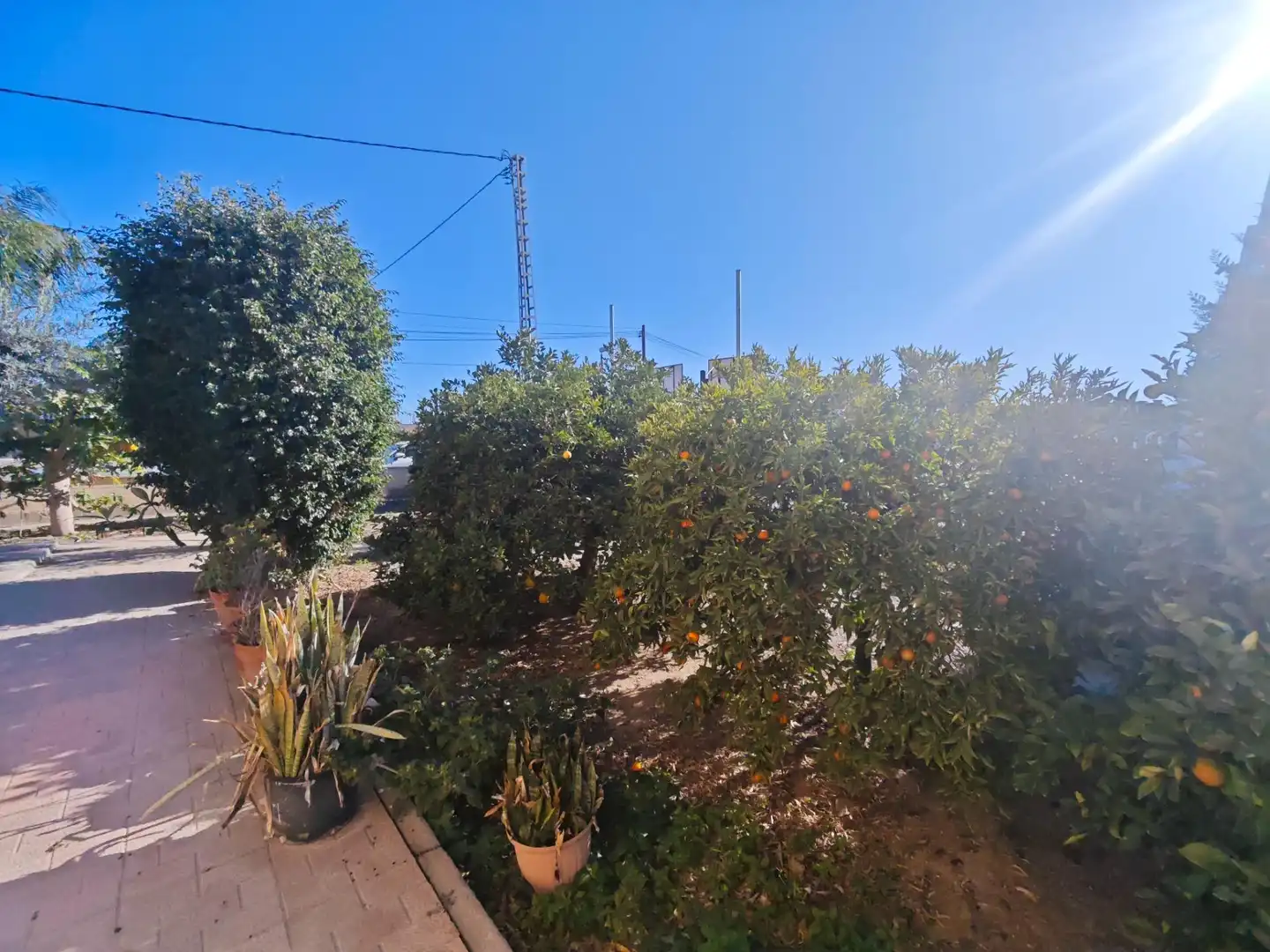 Exterior view of Houses for sale in Murcia  with Terrace