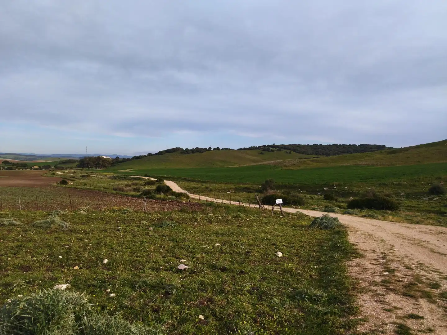 Terreni e lotti in vendita a Medina Sidonia, imagen 39