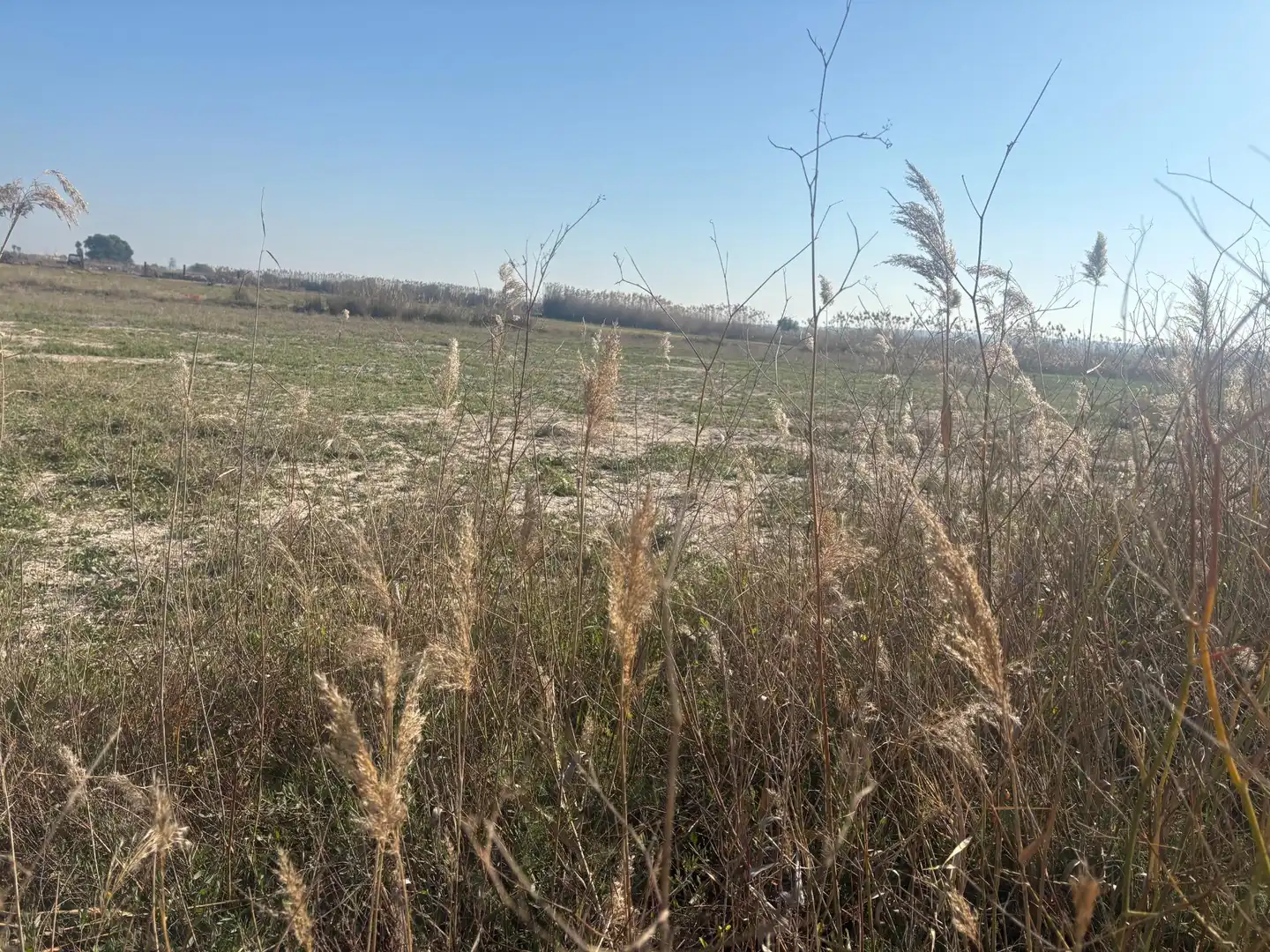 Terrain rustique à vendre à La Foia - Daimés - Asprella, imagen 25