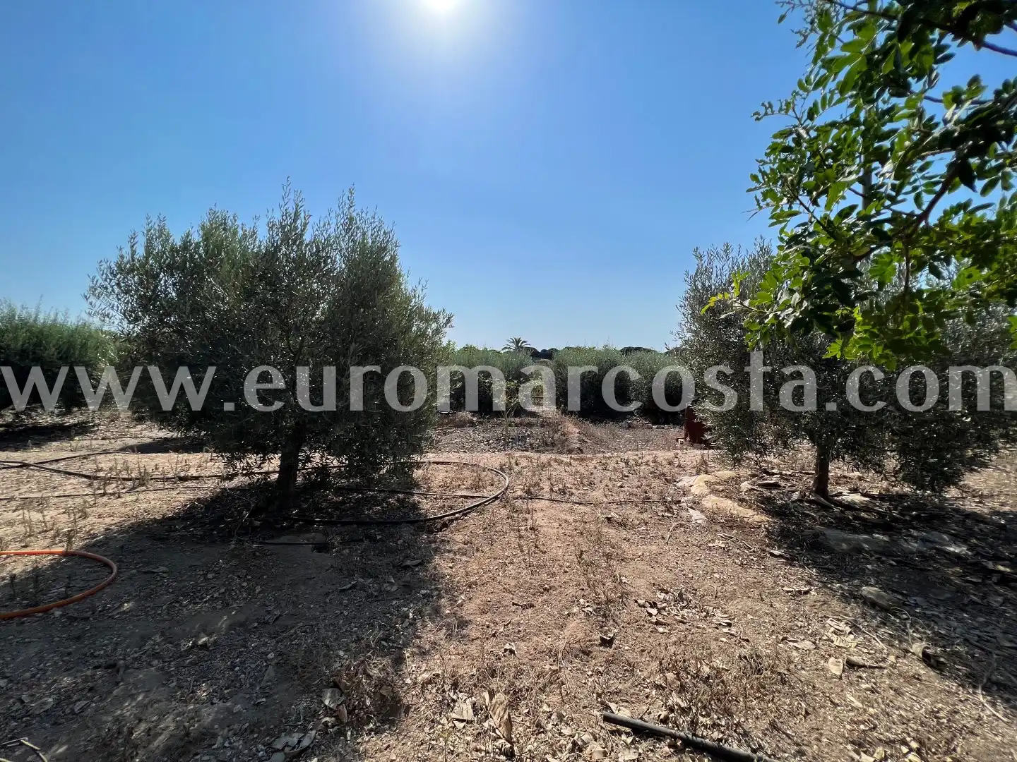 Country homes for sale in Elche / Elx  with Private garden and Furnished