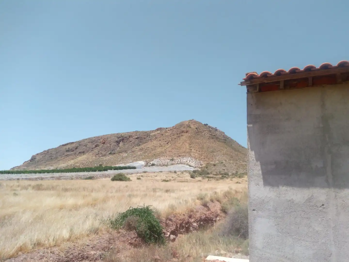 Terreno en venta en Almendricos