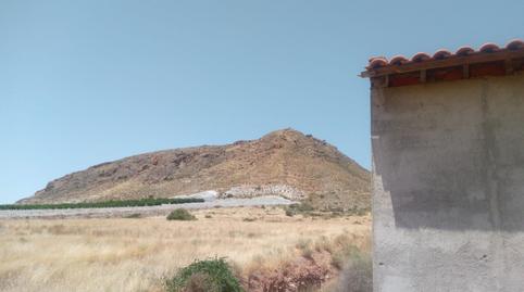 Photo 3 of Land for sale in Almendricos, Murcia