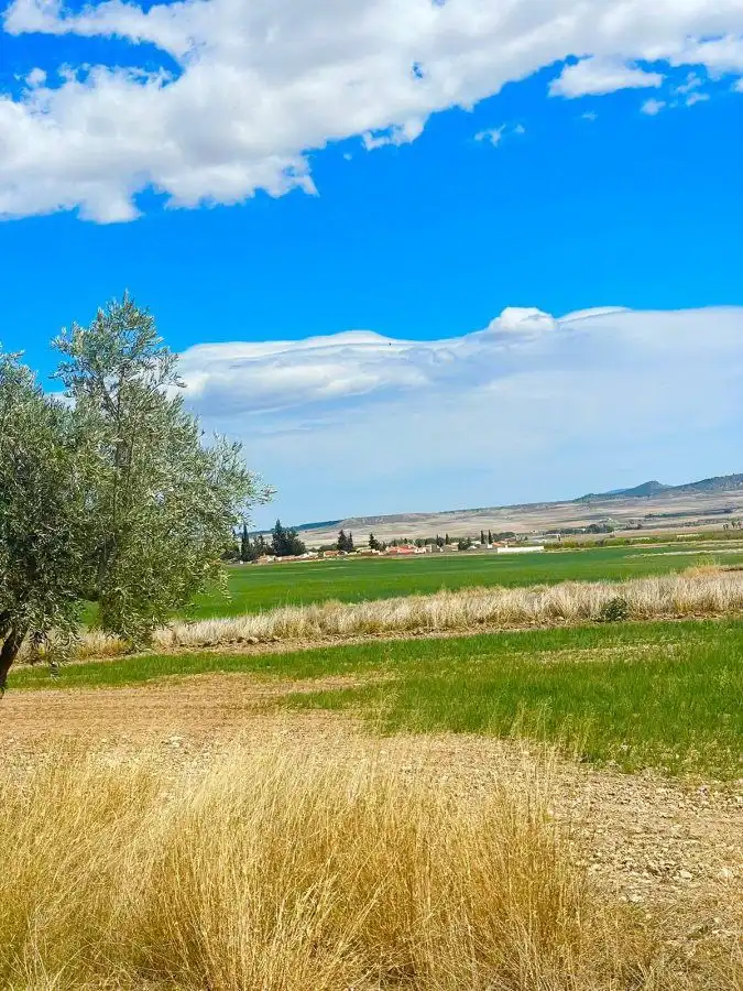 Terreni e lotti in vendita a Pedanías Norte, imagen 15