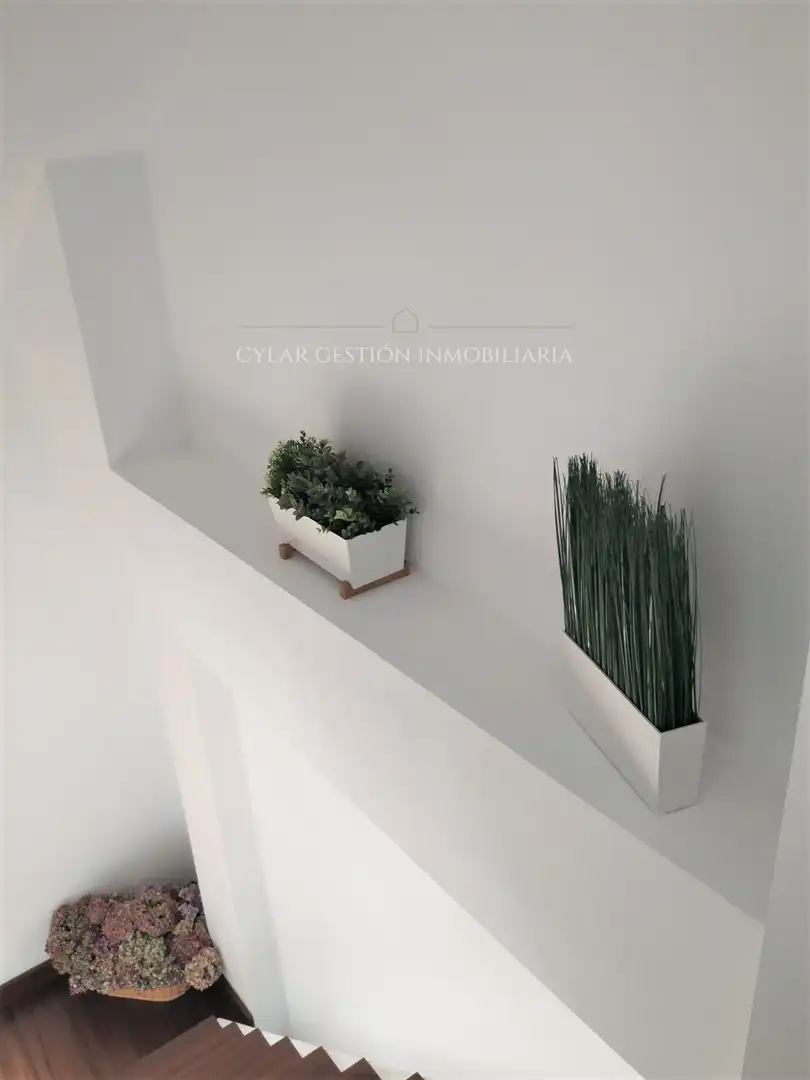 Duplex with lift to rent in Veracruz, imagen 14