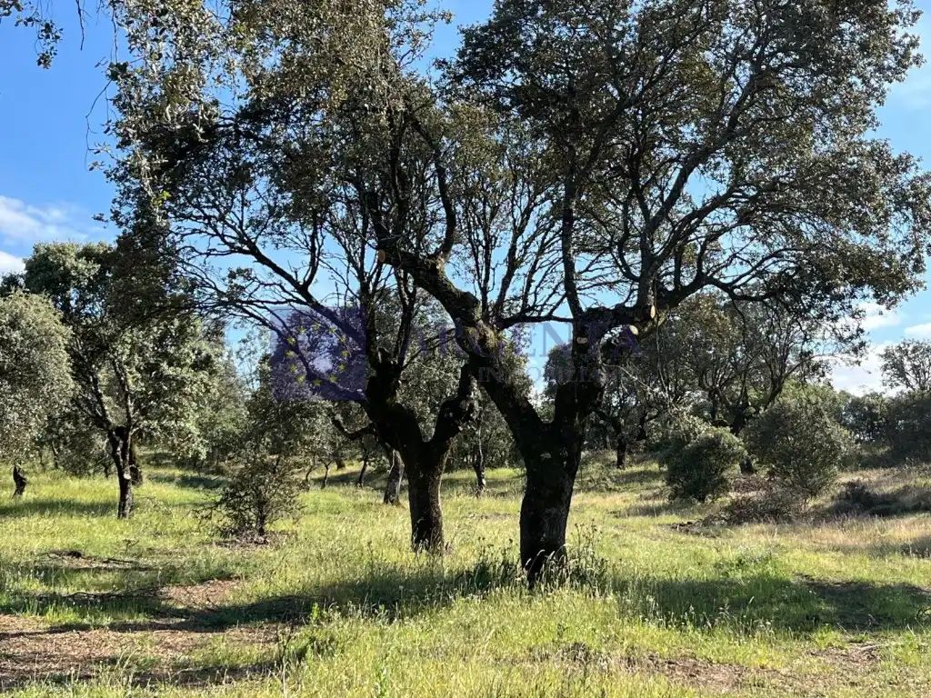 Casa o chalet en venta en Herguijuela