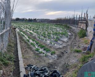 Jardí de Finca rústica en venda en Salobreña