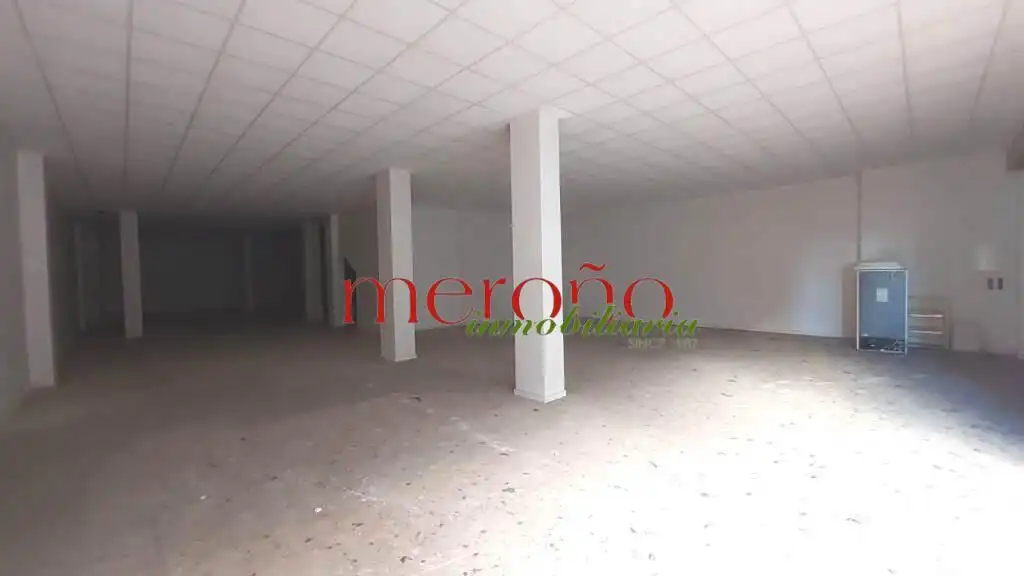 Commercial properties for rent in Elche / Elx