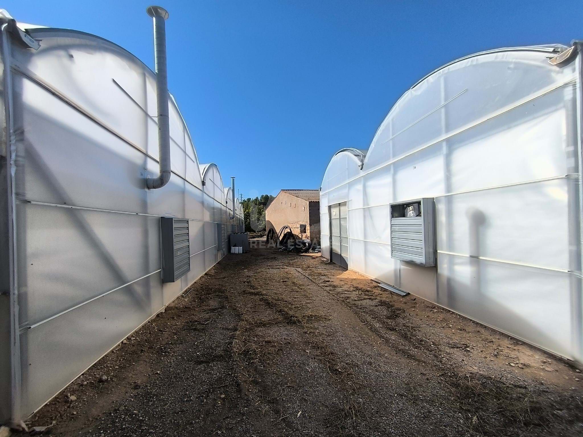 Exterior view of Residential for sale in Flix