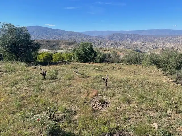 Terreno rústico en venta en Paraje los Molinicos 1, imagen 3