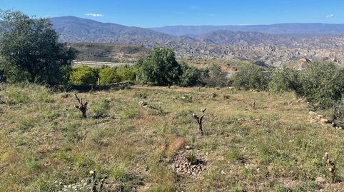Venta de Parcela en Huecija, Economica!!, immagine 3